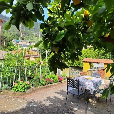 Affittacamere Antonella Pensión Monterosso al Mare