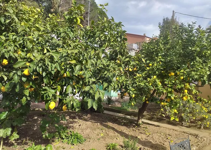 Affittacamere Antonella 3* Monterosso al Mare