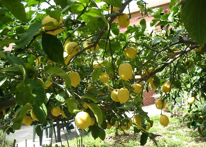 Affittacamere Antonella 3* Monterosso al Mare