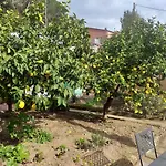 Guest house Affittacamere Antonella