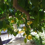 Affittacamere Antonella Guest house Monterosso al Mare