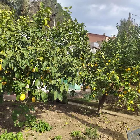 Affittacamere Antonella 3* Monterosso al Mare