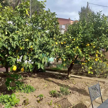 招待所 Affittacamere Antonella