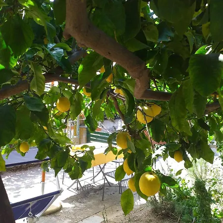 Affittacamere Antonella Pensjonat Monterosso al Mare